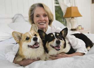 Enhancing Canine Health and Comfort in Duxbury: A Comprehensive Guide dog bed, dog beds, large dog beds, best dog beds, outdoor dog beds, orthopedic dog beds, chew proof dog bed, raised dog bed, cooling dog bed