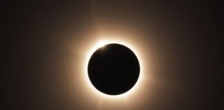 Celestial Spectacle: Solar Eclipse Captivates Duxbury and Beyond Celestial Spectacle: Solar Eclipse Enthralls Duxbury and Beyond