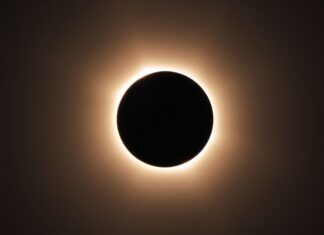 Celestial Spectacle: Solar Eclipse Captivates Duxbury and Beyond Celestial Spectacle: Solar Eclipse Enthralls Duxbury and Beyond