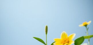 Duxbury Community Embarks on a Journey of Wellness and Awareness The Duxbury community embarks on a journey of wellness and awareness.