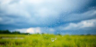 Understanding the Impact of Climate Change on Local Weather Patterns in Duxbury Understanding the Impact of Climate Change on Local Weather Patterns in Duxbury